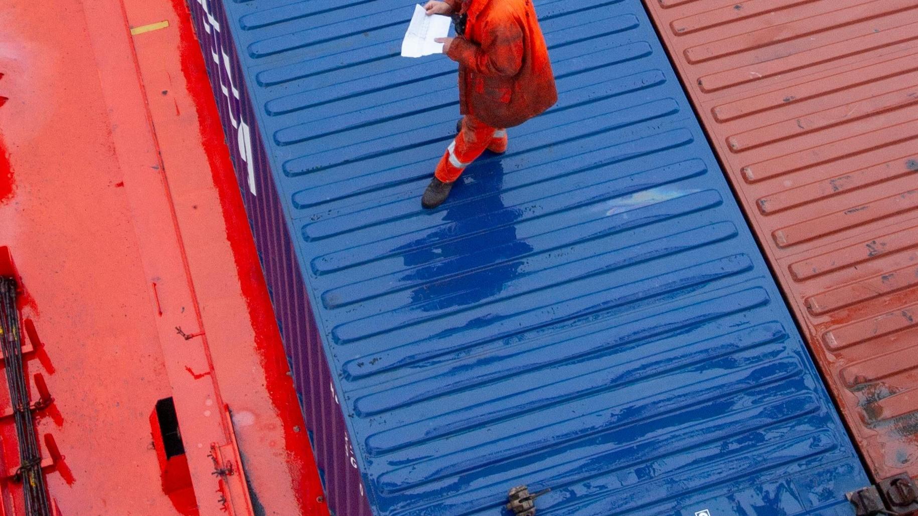 Marine Cargo Inspection